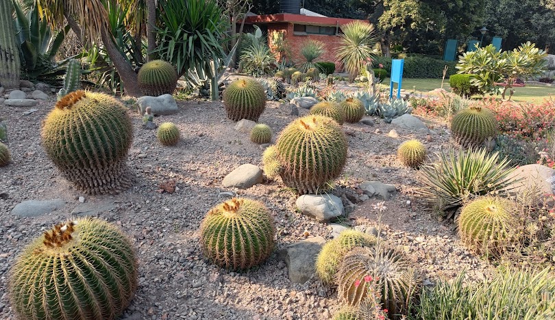 Cactus Garden, Panchkula